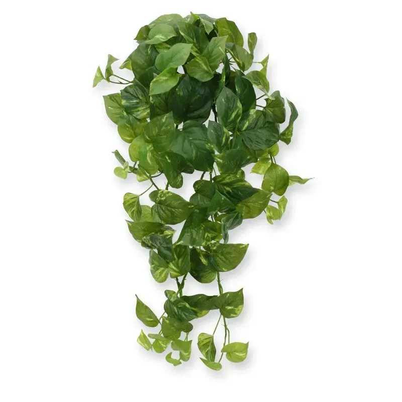 Louis maes scindapsustak l80cm groen