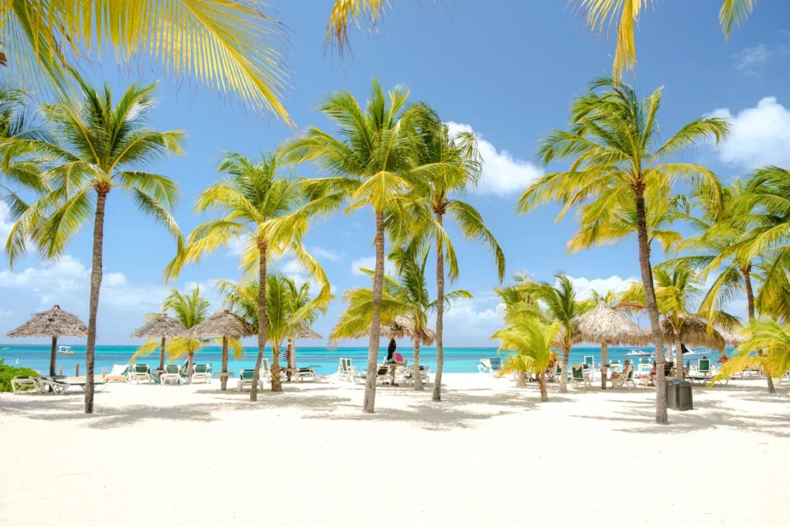 Vgdesign Palmenstrand met parasols 70x50 tuinposter banner