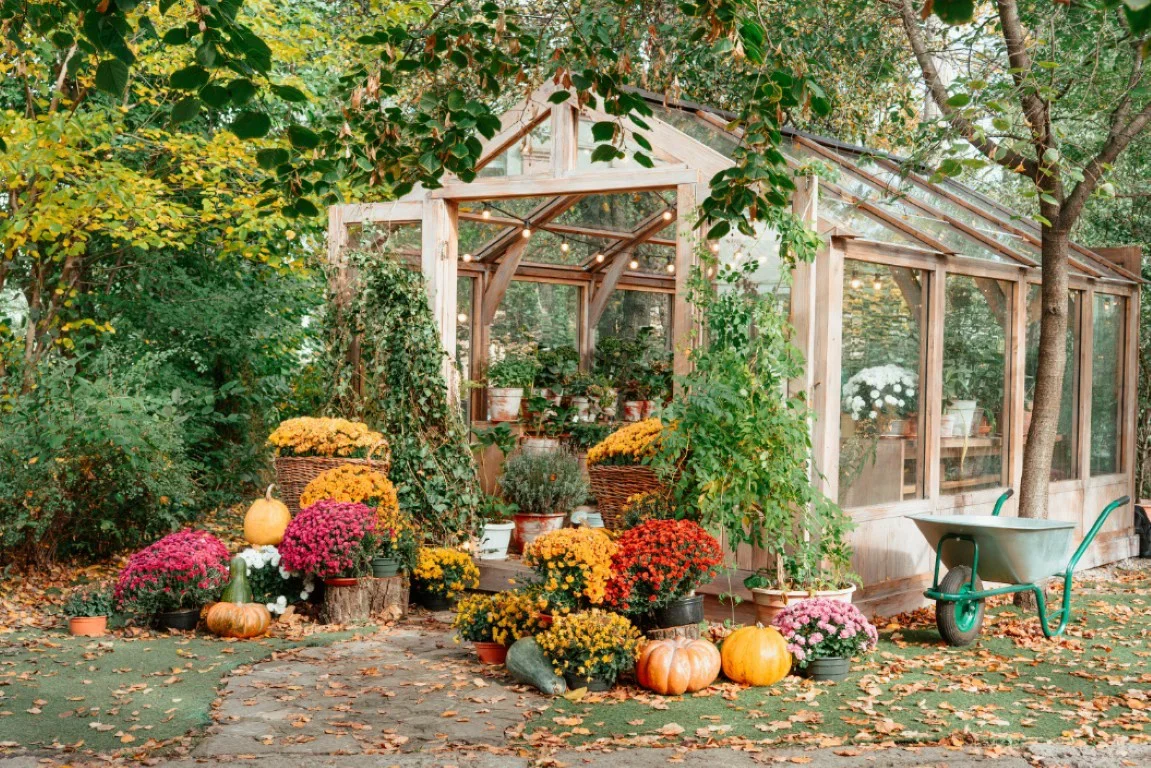 Vgdesign Herfsttuin met pompoenen 130x70 cm tuinposter banner