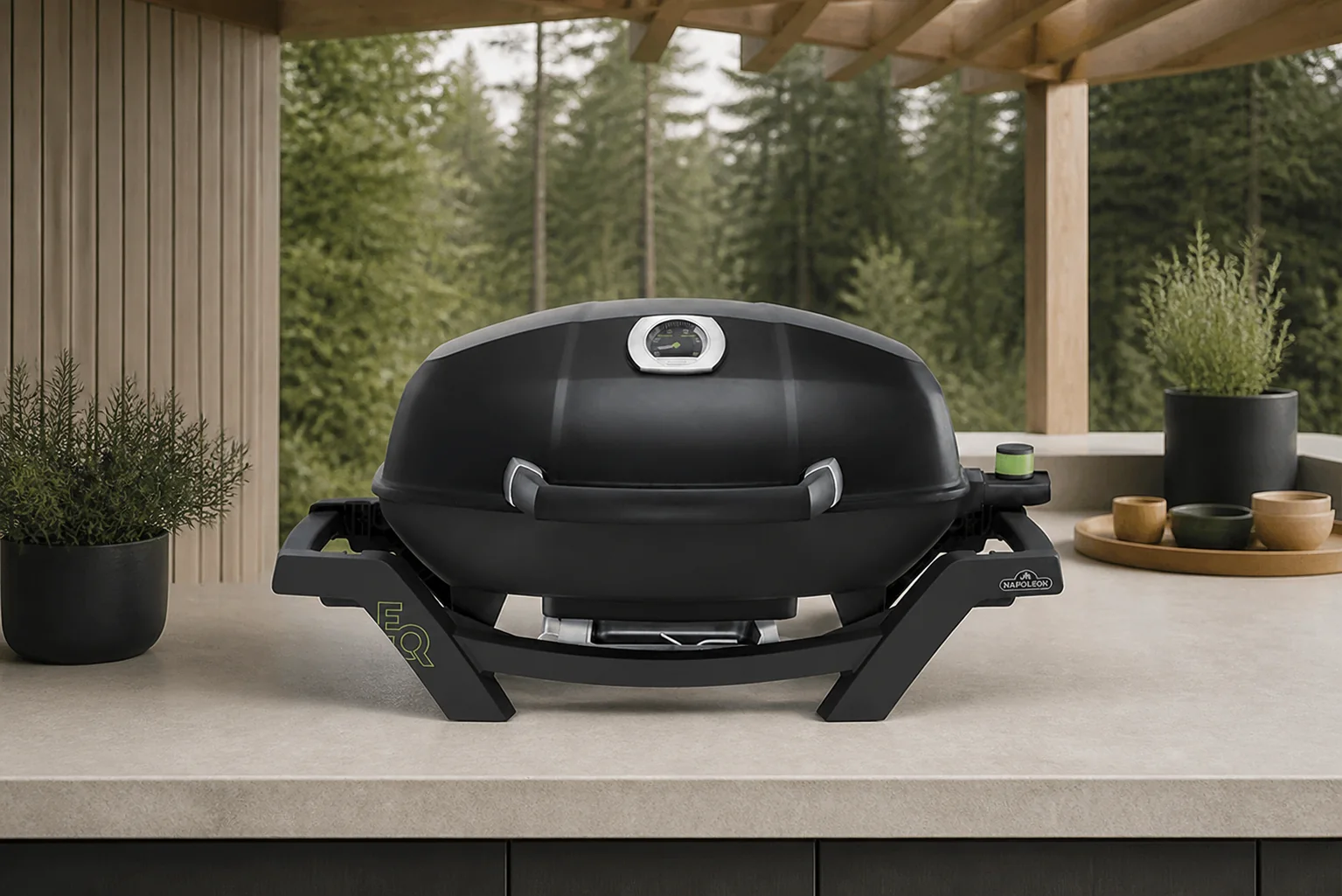 Sfeerfoto van Napoleon grills TRAVELQ PRO 285 elektrische barbecue (230V) barbecue BBQ