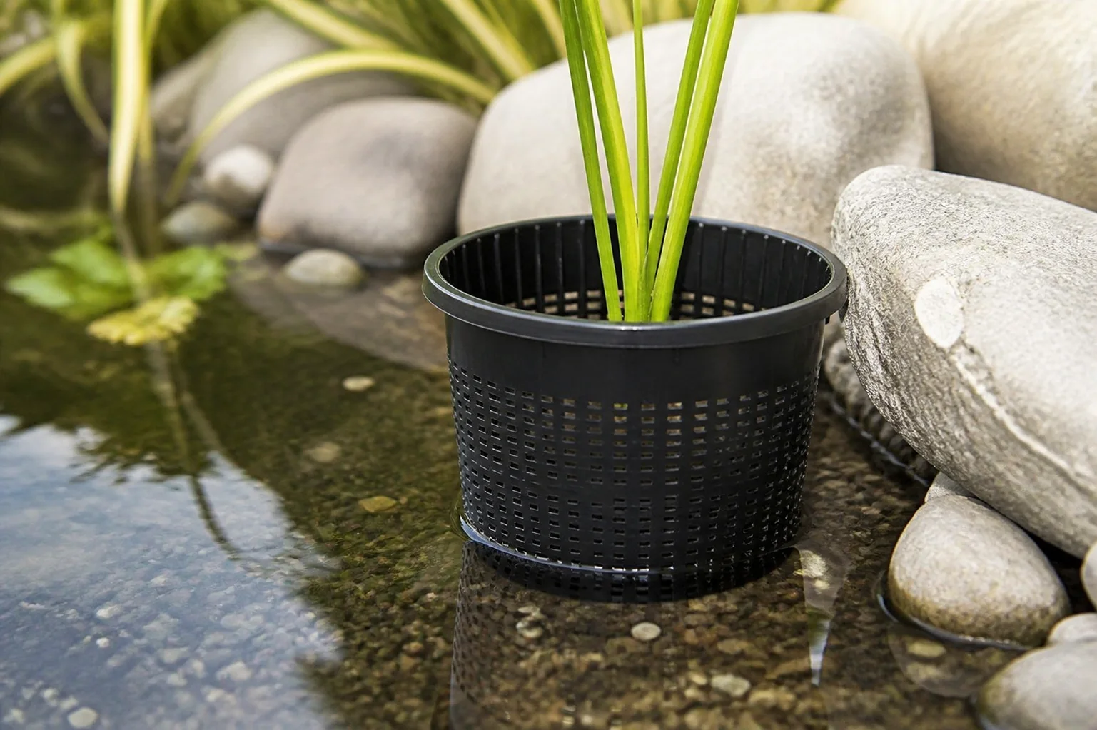 Sfeerfoto van Vt Plantenmand Plastic 22 cm Velda