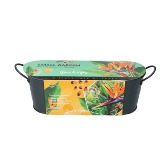Buzzy Grow gifts kweekset small garden birds of paradise strelitzia - Zie Foto