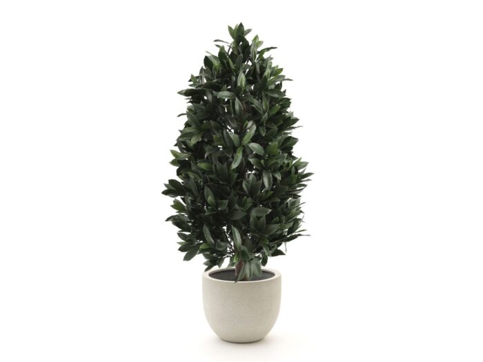 Designplants/Luca Lifestyle Laurier pyramide kunstplant (h:150cm) met Grigio New Egg bloempot Laagste prijsgarantie! – Groen