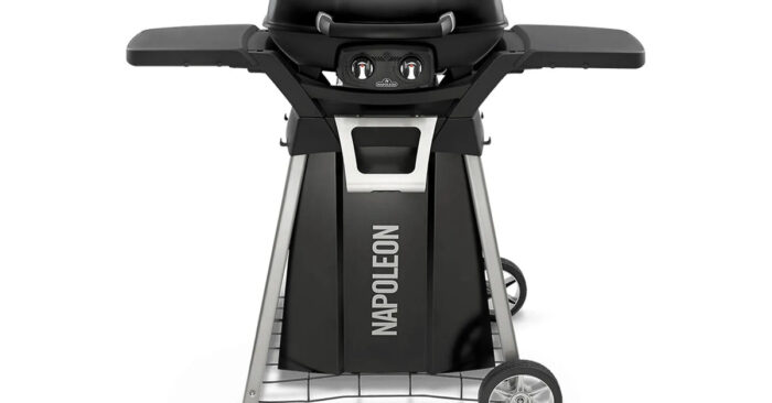 Napoleon | BBQ TravelQ PRO285 | met Stand
