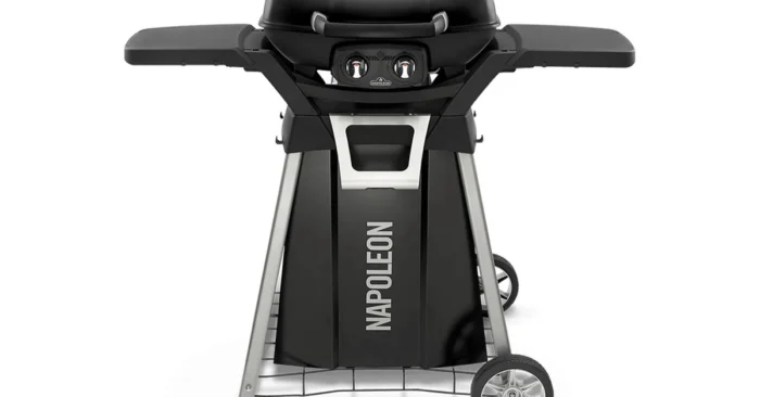 Napoleon | BBQ TravelQ PRO285 | met Stand