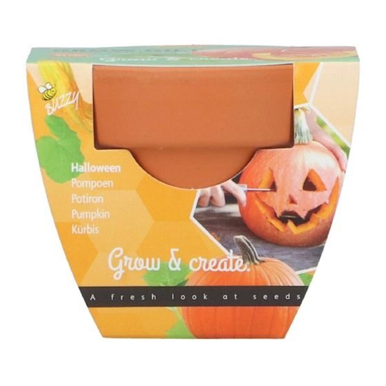 Buzzy Grow gifts kweekset groeicadeautje pompoen – Zie Foto