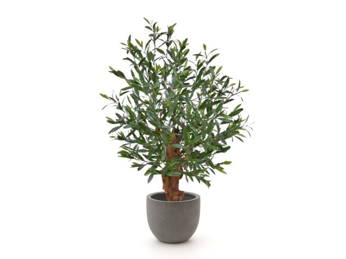 Designplants/Luca Lifestyle olijf Bonsai kunstplant (h:90cm) met Grigio New Egg bloempot Laagste prijsgarantie! – Groen