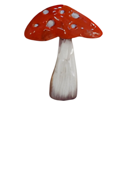 Buitengewoon de boet Steker ijzer paddenstoel 16×45 cm I – Zie Foto