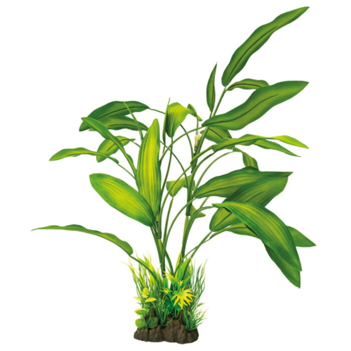 Superfish Art plant 40 cm cryptocoryne – groen