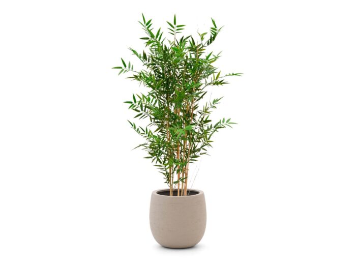 Designplants/Luca Lifestyle Japanse Bamboe kunstplant (h:120cm) met Terreno Balloon bloempot Laagste prijsgarantie! – Groen