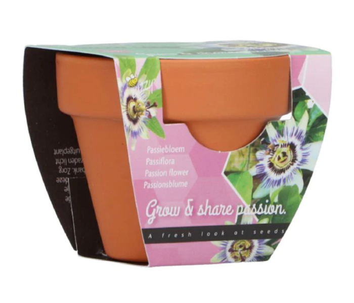 Buzzy Grow gifts kweekset groeicadeautje passiflora – Zie Foto