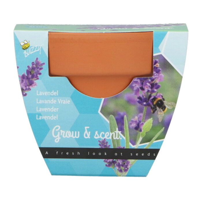 Buzzy Grow gifts kweekset groeicadeautjelavendel – paars
