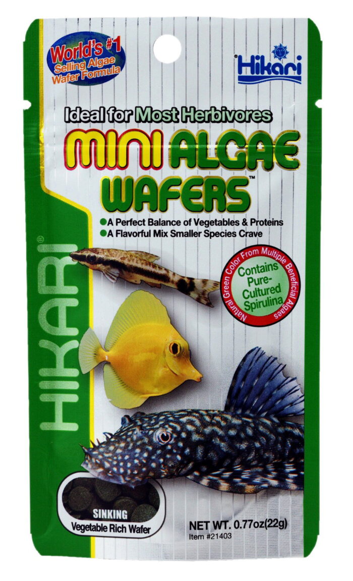 Hikari Visvoer Mini algae wafers 22 gram