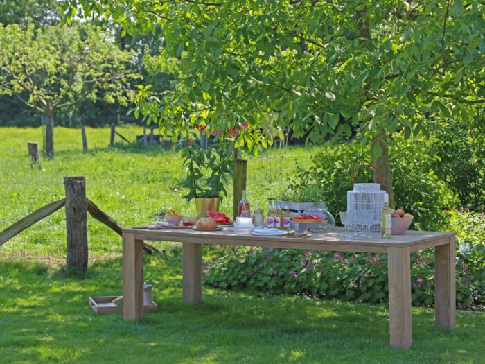 ROUGH Furniture ROUGH-X dining tuintafel 240x100x76cm Laagste prijsgarantie! – Bruin