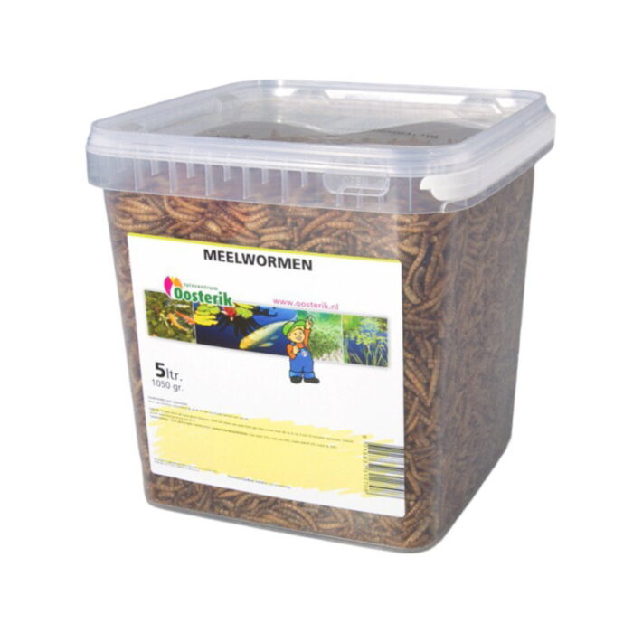 Suren collection Meelwormen 5 liter voer – Zie Foto