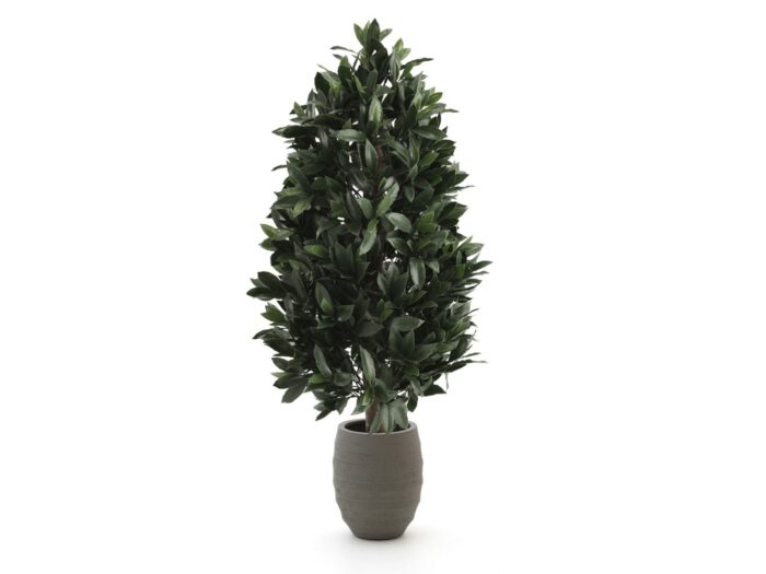 Designplants/Luca Lifestyle Laurier pyramide kunstplant (h:150cm) met Bordo Tall Balloon bloempot Laagste prijsgarantie! – Groen