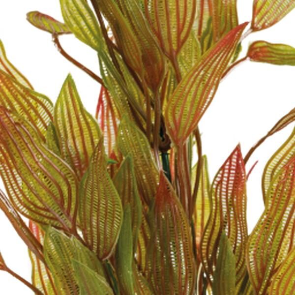 Superfish Sf art plant 40 cm henkelianus