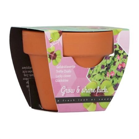 Buzzy Grow gifts kweekset groeicadeautje klavertje 4 – Zie Foto