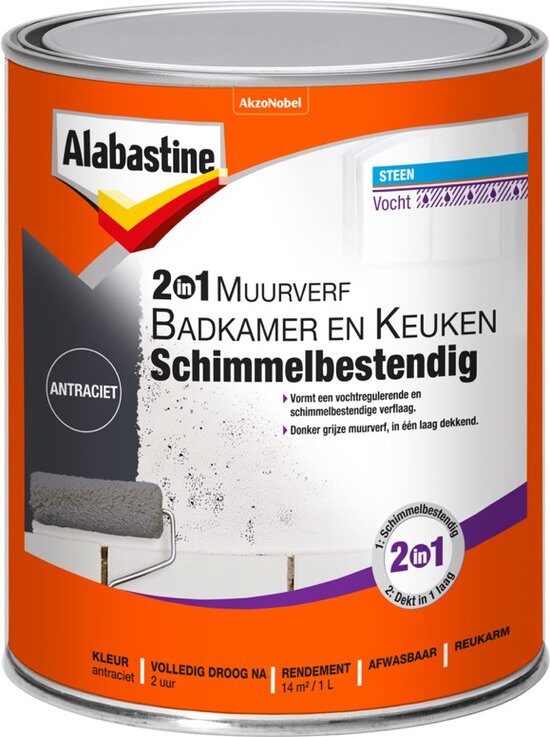 Alabastine Muurverf Bad En Keuken 2In1 Antr 1L