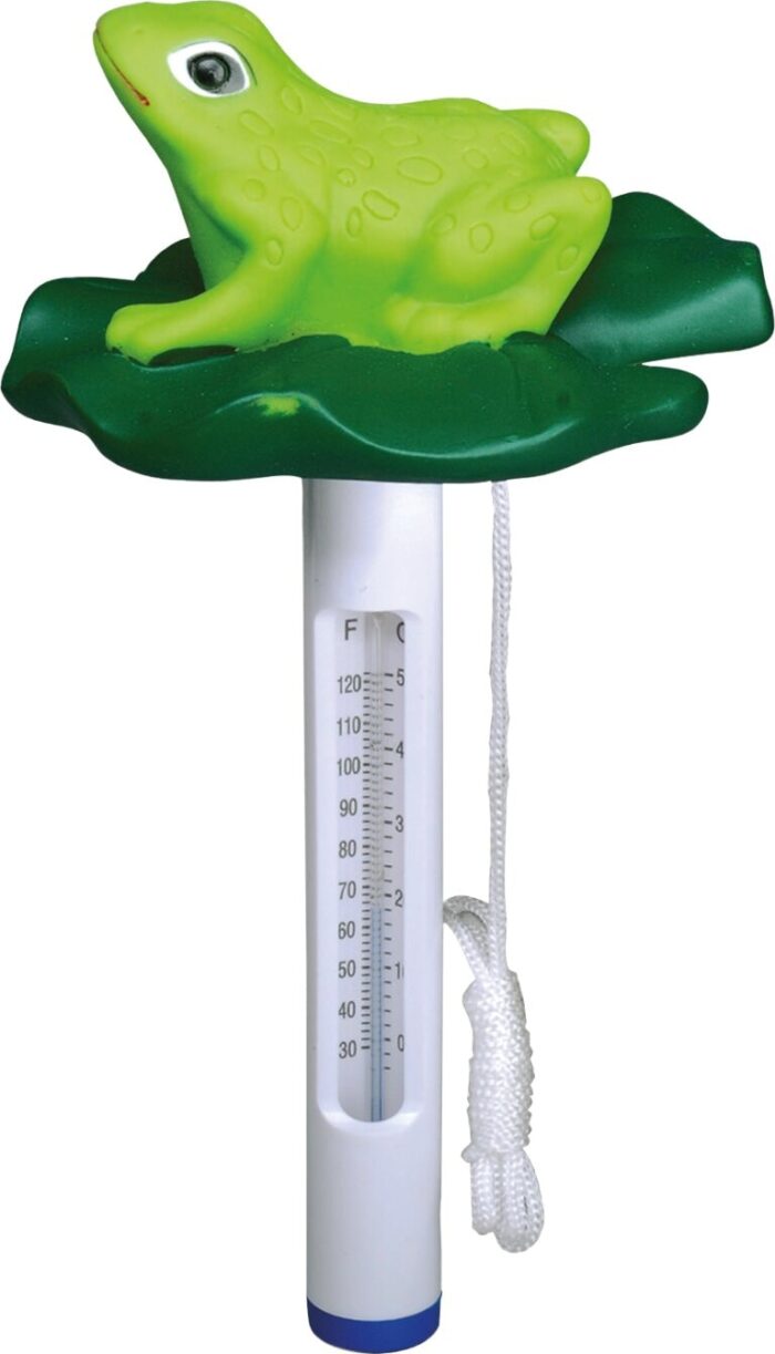 Bsi Thermometer met figuur Kikker 1 stuk