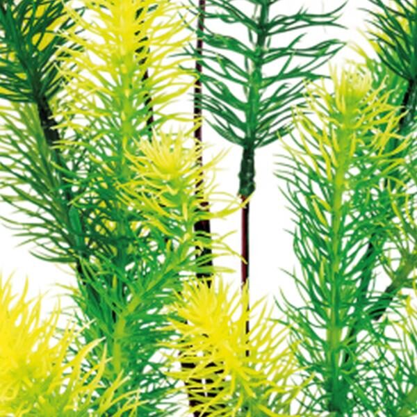Superfish Sf art plant 40 cm myriophyllum