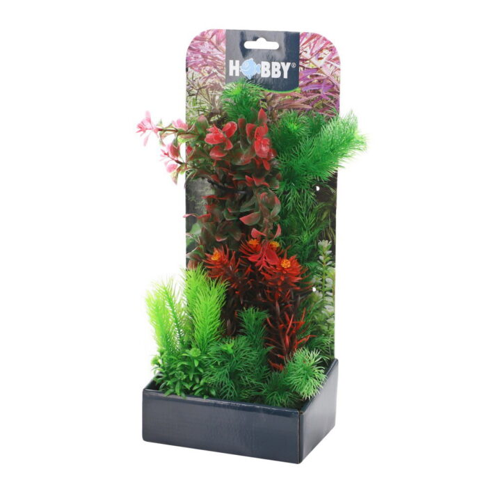 Smulders Plantasy set 3 decoratie planten Hobby