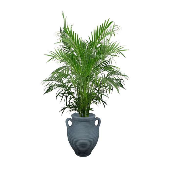 Prestige 35L grijze plantenbak Athene – grijs