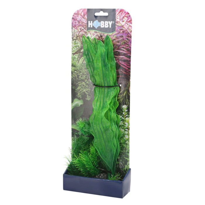 Smulders Plantasy set 1 decoratie planten Hobby