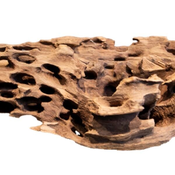 Aquadistri Honeycomb wood x large