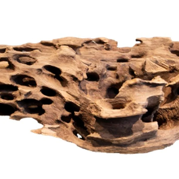 Aquadistri Honeycomb wood x large