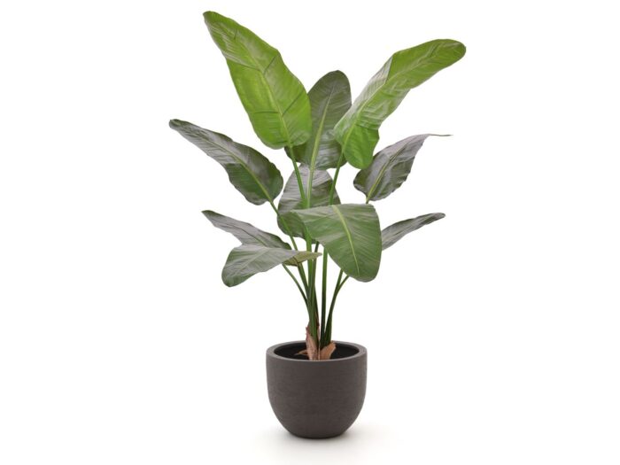 Designplants/Luca Lifestyle Strelitzia Nicolai kunstplant (h:145cm) met Terreno New Egg bloempot Laagste prijsgarantie! – Groen
