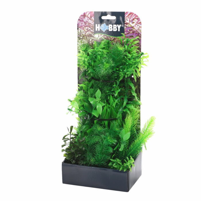 Smulders Plantasy set 5 decoratie planten Hobby