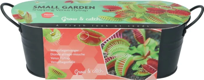 Buzzy Grow gifts kweekset small garden venus fly trap - Zie Foto