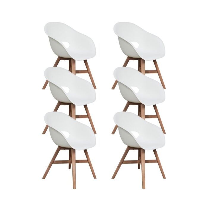 BUITEN living Karlstad dining tuinstoel set van 6 | kunststof + hardhout | wit