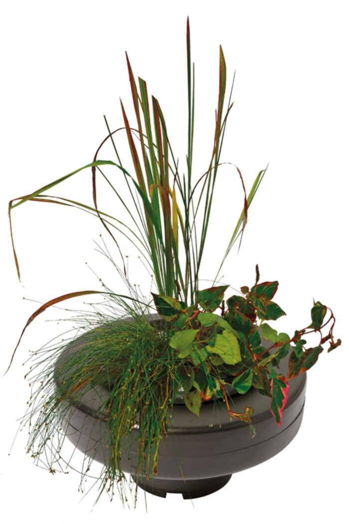 Superfish Floating Plant Basket diameter 22 Cm vijver