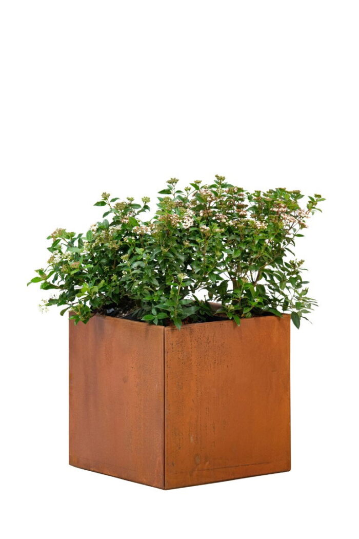 Tuindeco Bloembak Hudson klein 50x50x50 cm – hout