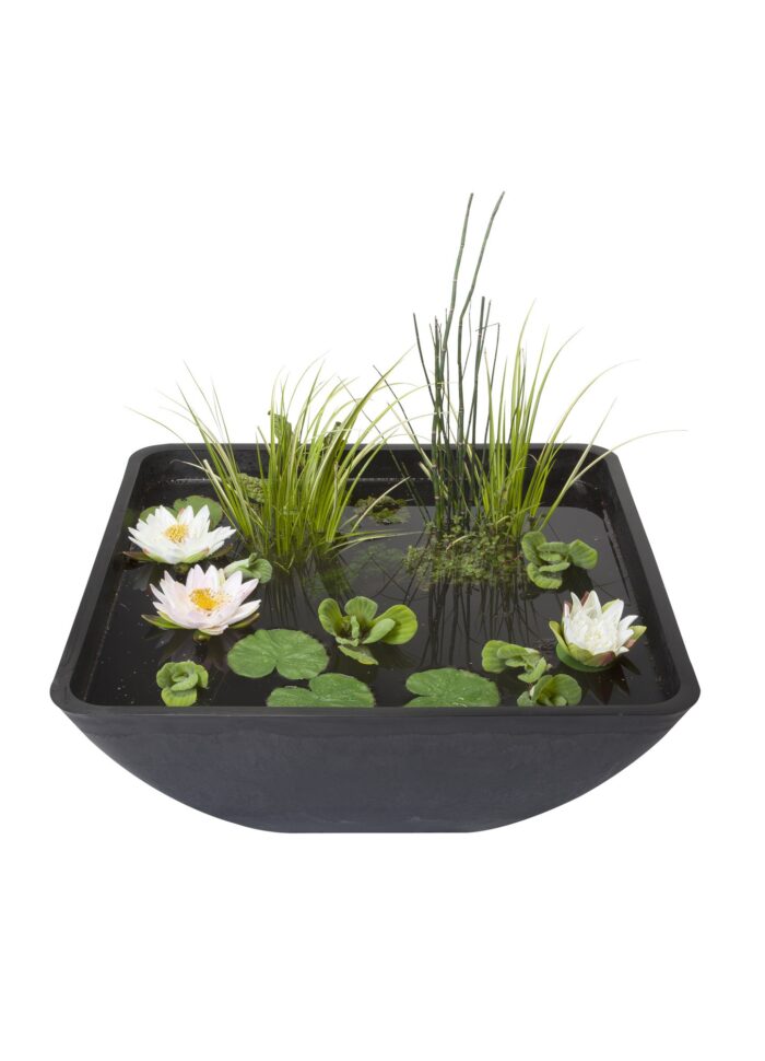 Velda Minivijver vierkant 75 x 75 cm