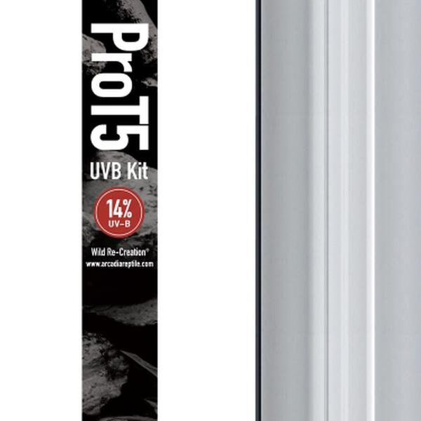 Aquadistri Pro t5 set dragon 14% uvb 54 watt Arcadia – zwart