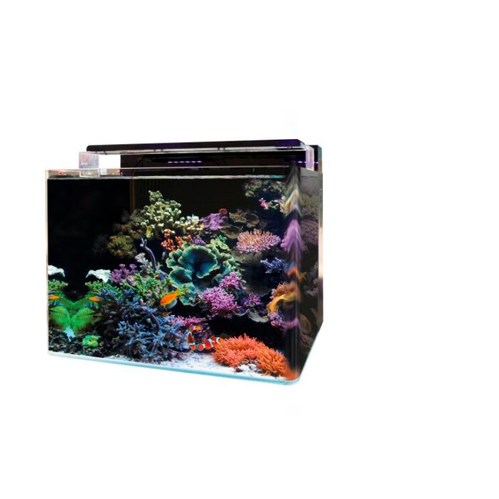 Aquadistri Bm reef 120 aquarium Blue Marine