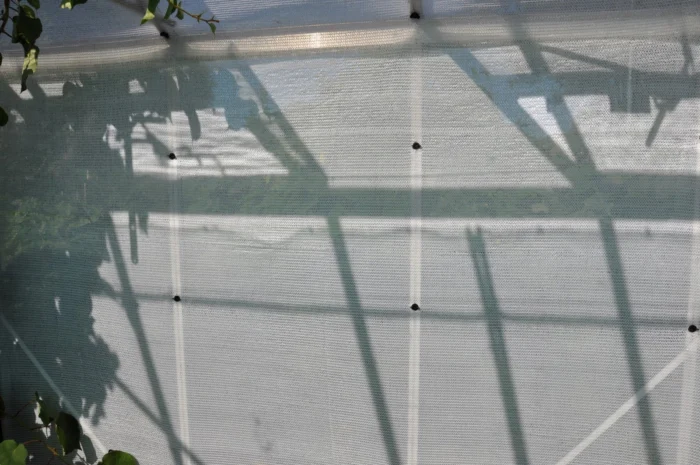 Royal well RW15-screen 1,8 x 5 m - wit
