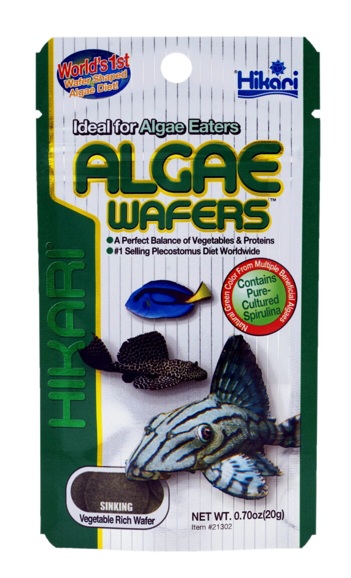Hikari Visvoer Algae wafers 40 gram