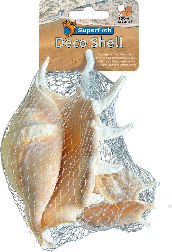 Superfish Deco schelp spider 150 gram – wit