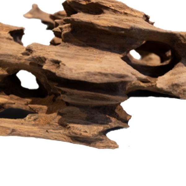 Aquadistri Honeycomb wood small
