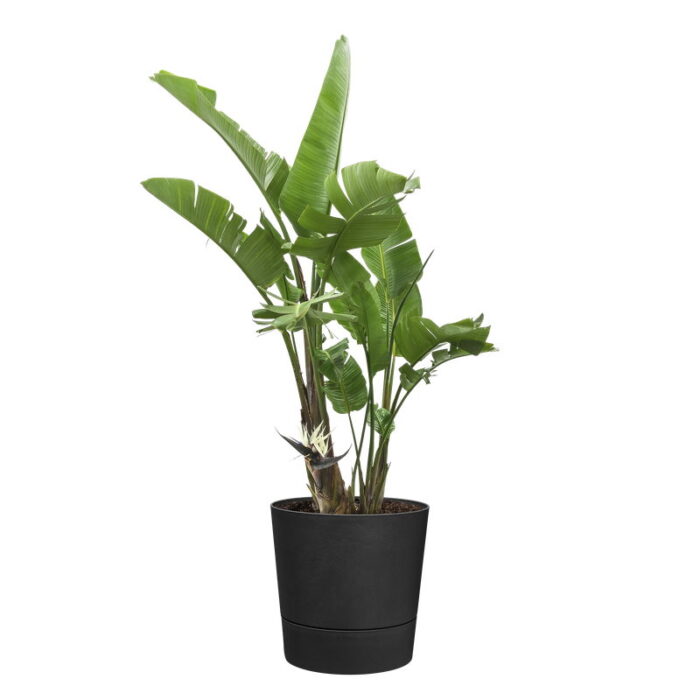Elho Foss rond 25 cm living black bloempot – zwart