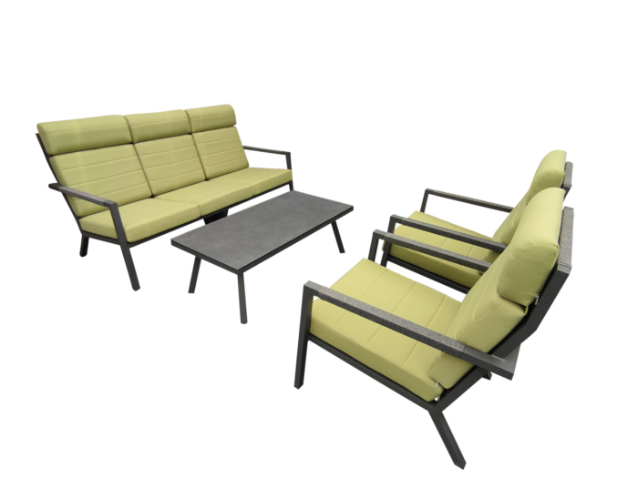 Driesprong collection Set angelina lounge 4 delig groen antraciet