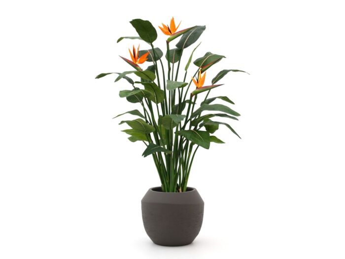 Designplants/Luca Lifestyle Strelitzia kunstplant (h:145cm) met Ruvido Combi bloempot Laagste prijsgarantie! – Oranje