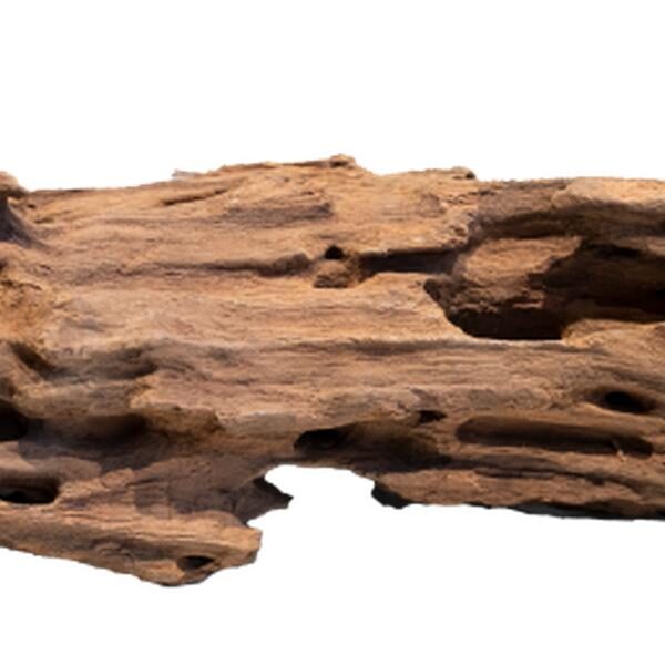 Aquadistri Honeycomb wood large