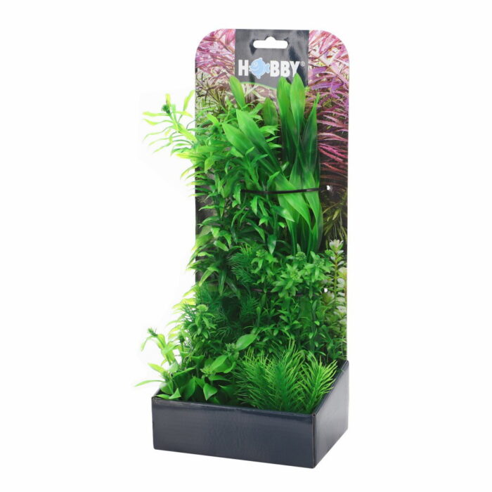 Smulders Plantasy set 4 decoratie planten Hobby