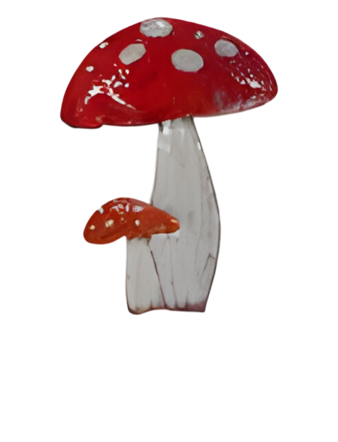 Buitengewoon de boet Steker ijzer 2 paddenstoelen 35×80 cm – Zie Foto