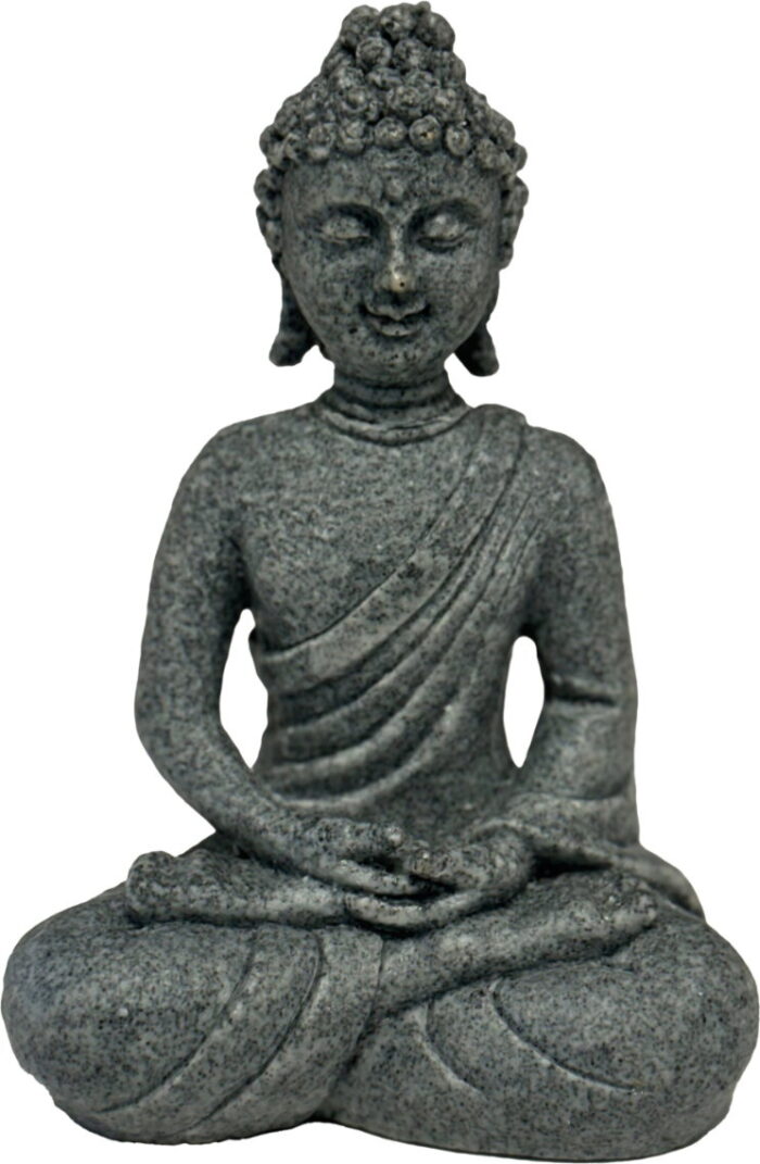 Superfish Eco deco buddha – grijs